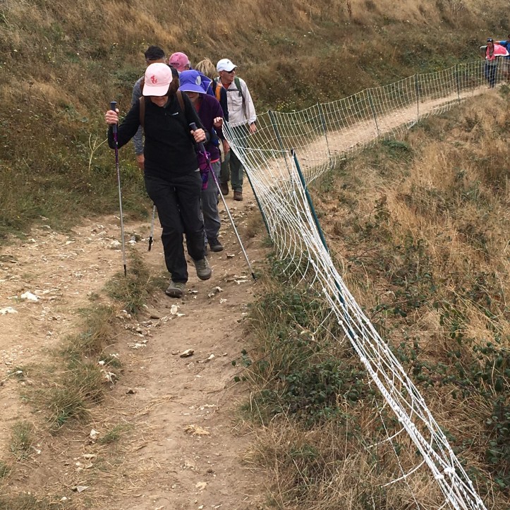 8C3A3716-3F90-4BCB-80C0-7AE728652638