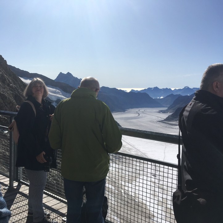 8FBA338E-6C9E-4CB9-8BD0-557ED60600BE