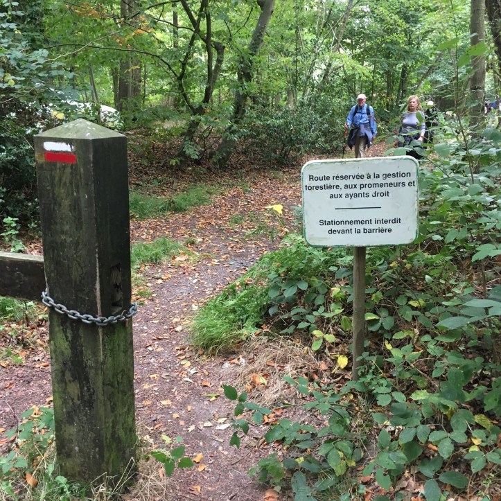 9B856C56-60FB-437A-952A-767628D61E5A