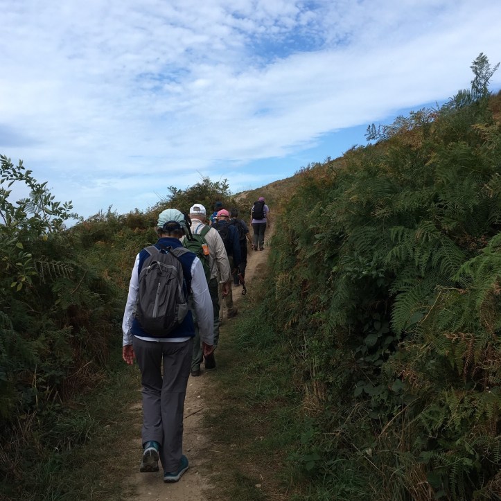 9C7C3D61-69D3-462B-B93A-7452FC20CCA7