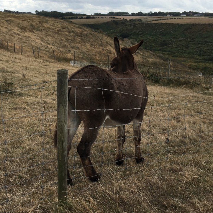 9FD03EA0-5960-4B66-A14E-34FB7A39ACE3