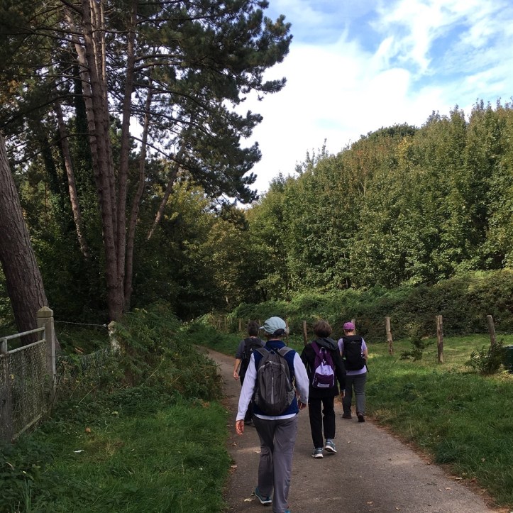 A813F720-5867-4C4F-B849-80688CE0284B