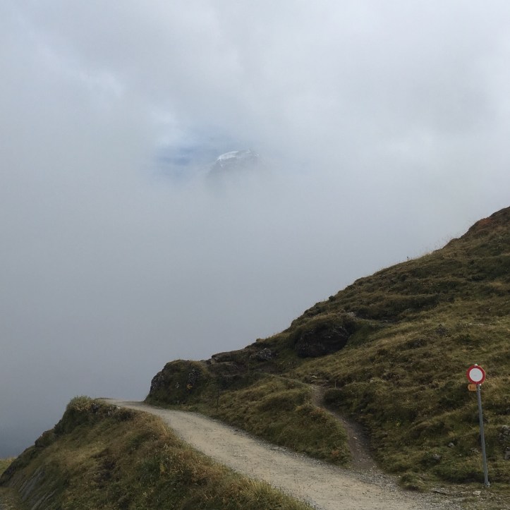 C2D22FC5-F871-40AF-B442-5CFC79E46206