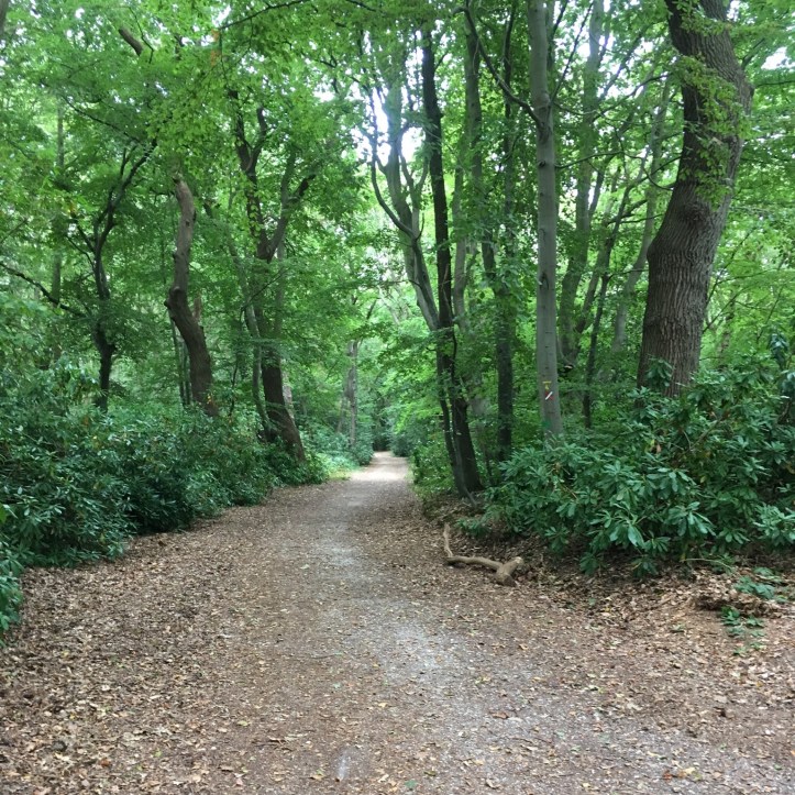 CFD4D3A4-1706-461B-A309-D41089B96726