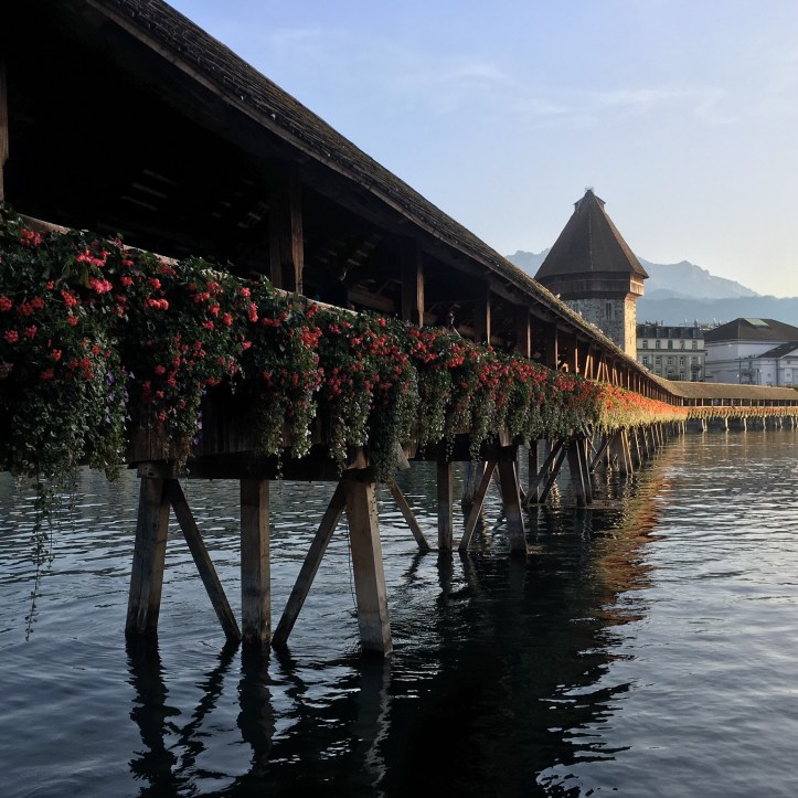 D531A38B-DE9F-4C1E-BF22-DEEE88689ED0