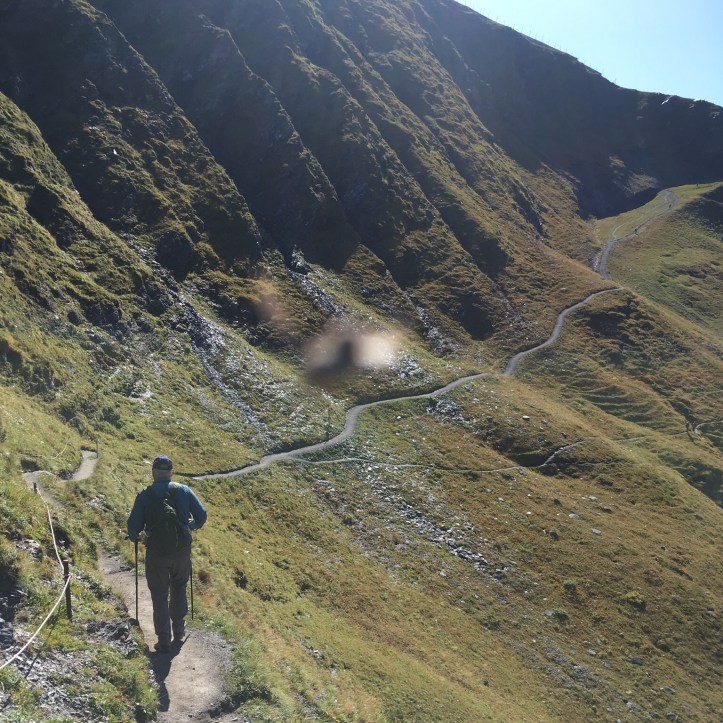 D8ADEA61-B718-42F0-91F2-3F1CD36C398A