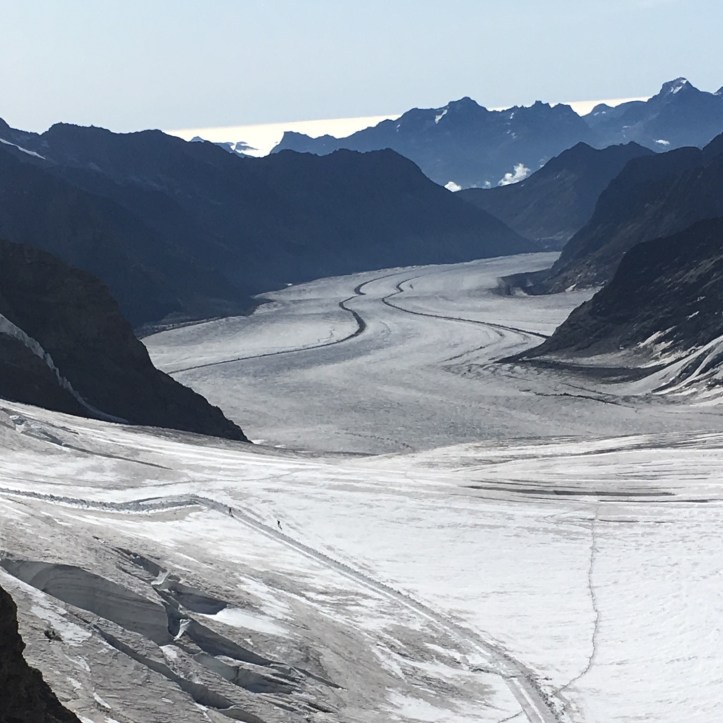 D9242503-4FB8-4536-B452-155F287FC6BF