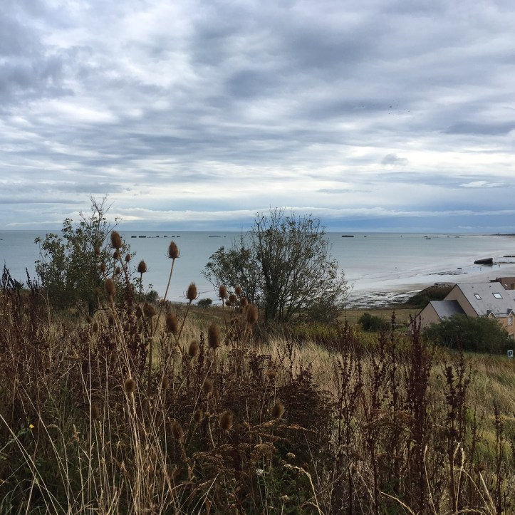 F50FFC26-7AEF-4425-B1A4-A6C9F4F3029D