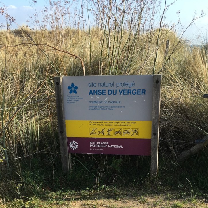 285F21E4-A98E-40B1-B1C5-A3D8BEE17435