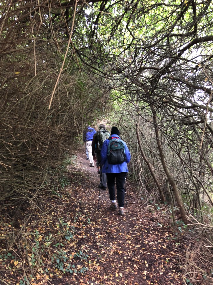 4630DCC0-79F2-4386-B5B8-F9C8F56D854F