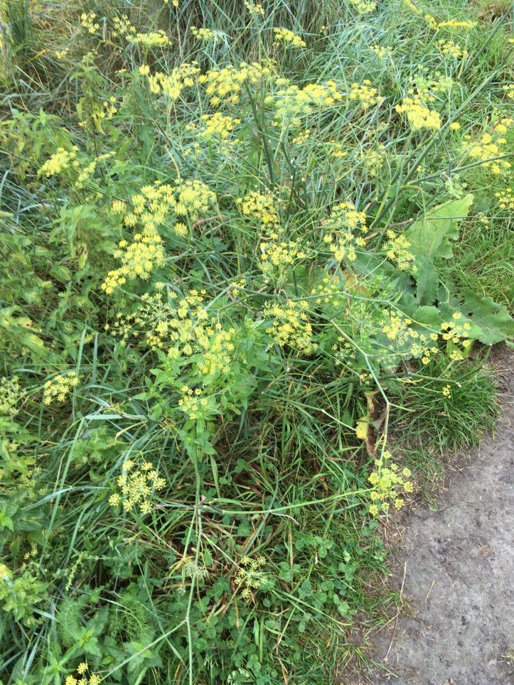 581DDF48-966B-44AE-85FC-2D5B783B49D0