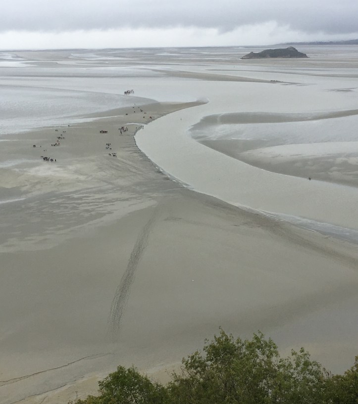 5C2DF00C-C5F3-4A6D-946A-93D06DFD53E2