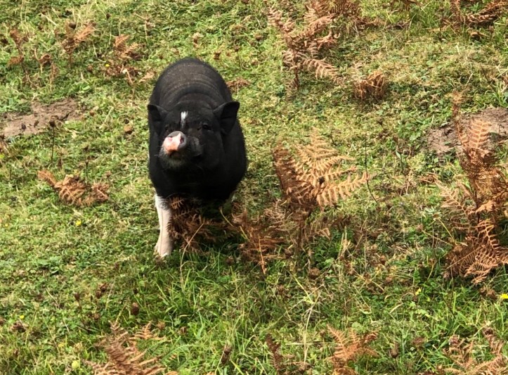 5C977E2B-1A9B-46E3-AD03-2B420D0C87C7