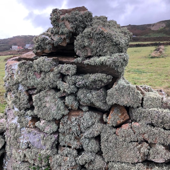 6389FAAF-4DC1-4F1A-81F7-051929045A5A