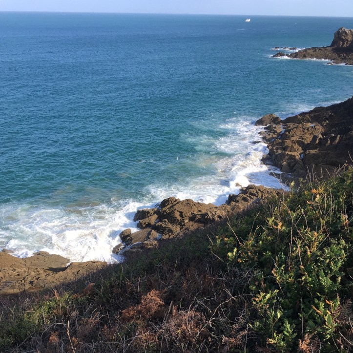 67A8E76F-FE60-42CB-A896-4ABB5A224C15