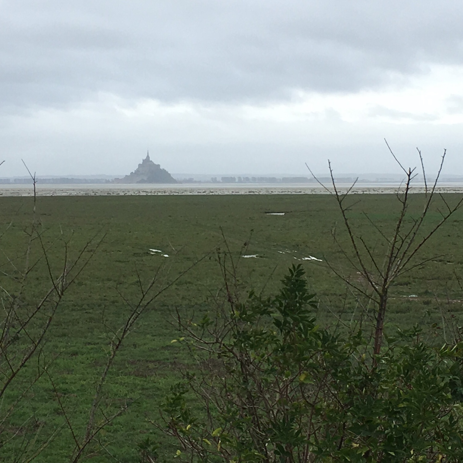 74710F8B-351A-429F-9761-7F4B70000DCA