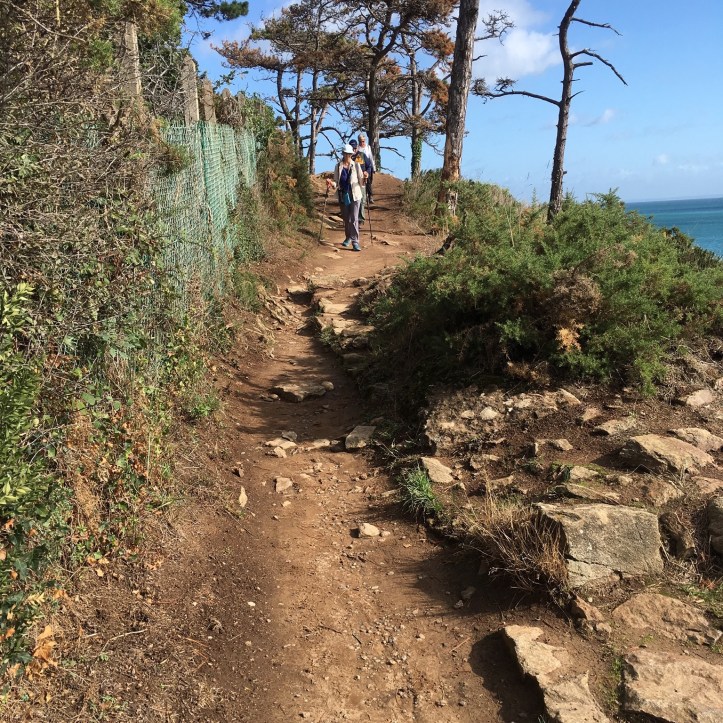 77D7CE05-A563-43D4-9B93-B7D0D710E688