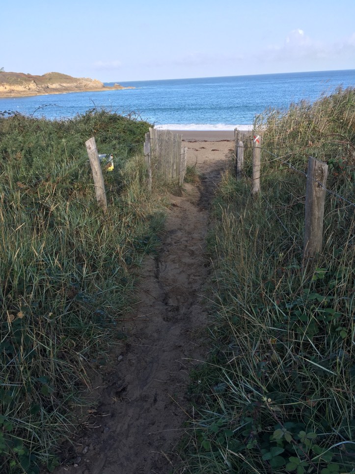 7E7320D6-B485-40DB-B0FB-48692AA6D7DE