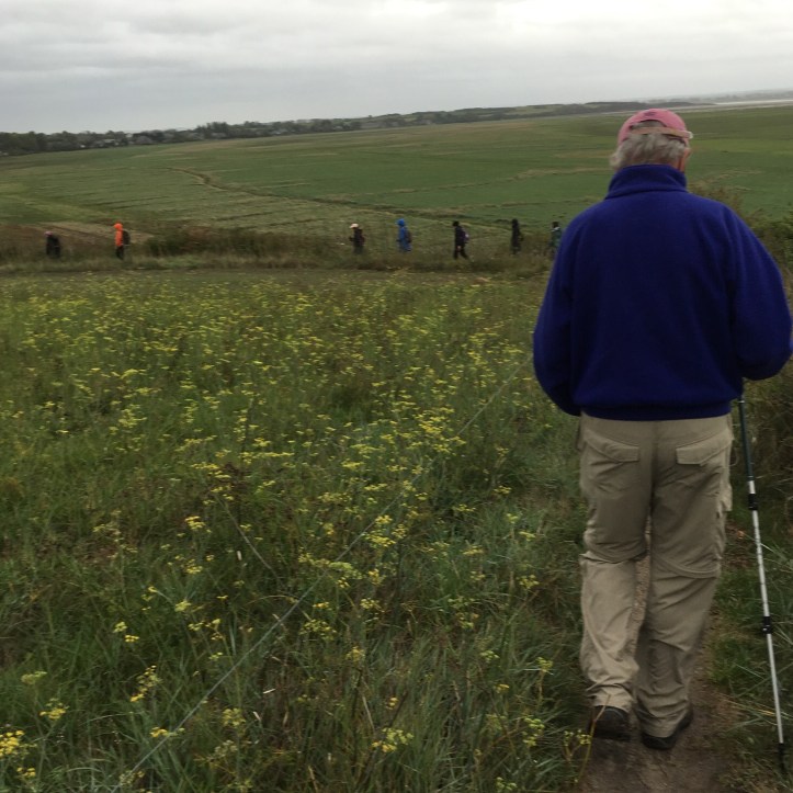 859D339C-2BBE-4B30-BD2C-8235175AE5C7