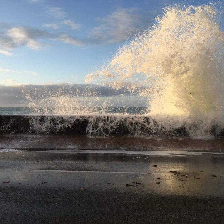 90EA9656-32FA-4A0D-9751-6198B9F6193B