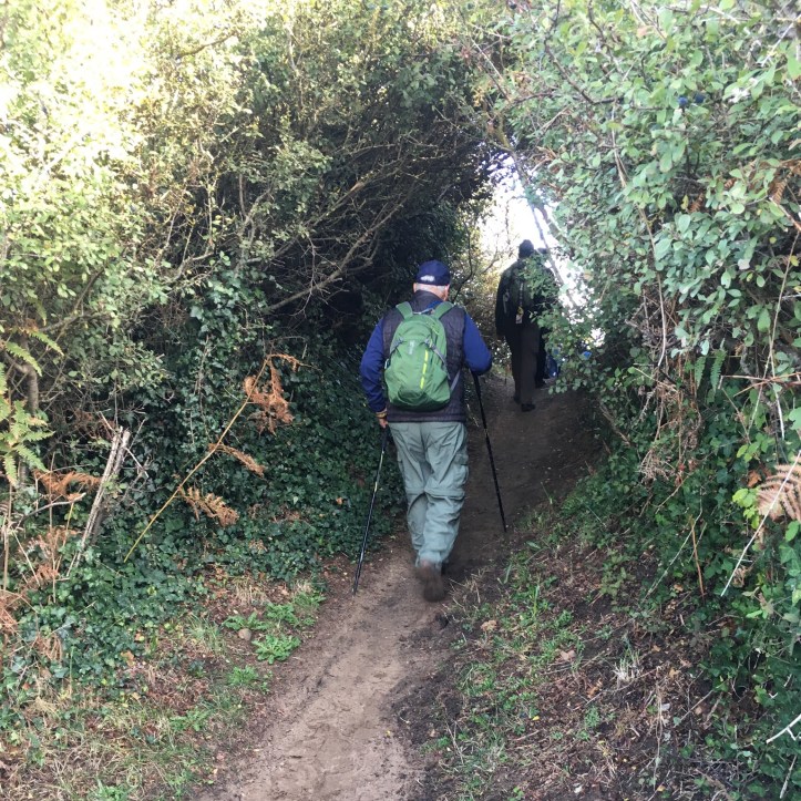 911A1D68-0D2D-4ECB-ACF0-95AD6716C59E