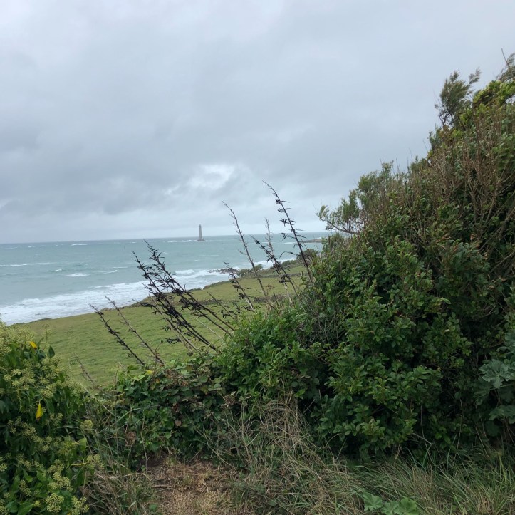 AD2CF3D1-4E03-4D43-AF96-F1D56285B8A8