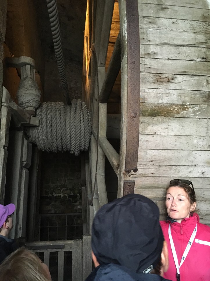 C0E36ED6-A61A-448D-9144-632444C9975E