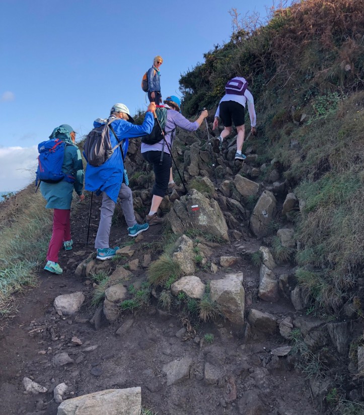 C3EE0255-A24E-4C27-986D-D34B2B7363DF