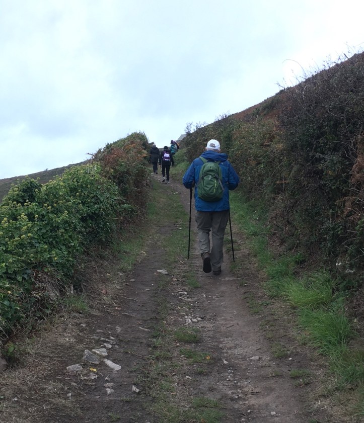 D57138BB-2020-4B54-B1E1-A4D63A0F0656