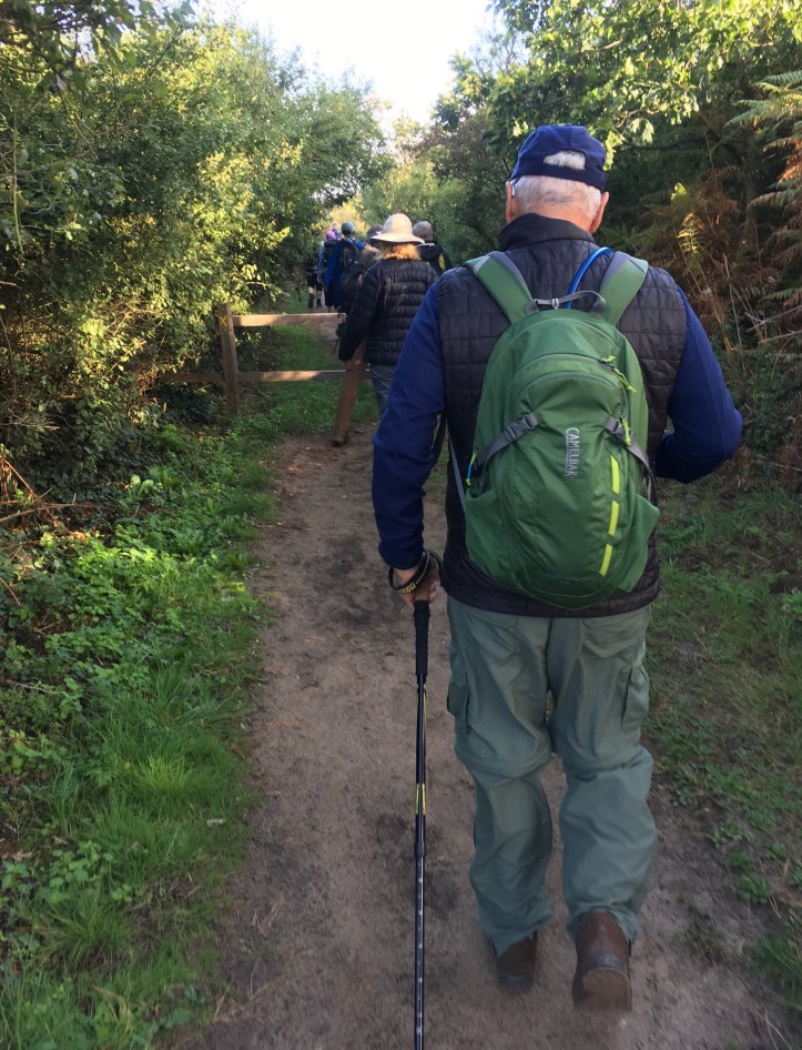 E918DAD5-0413-40E0-8515-0893687BB0C8