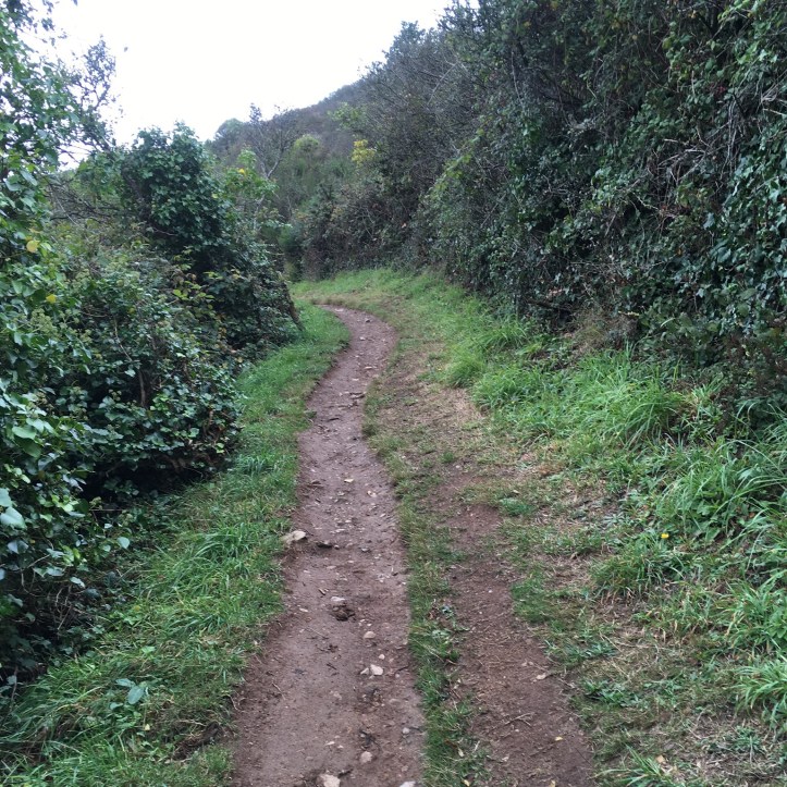 F77C0688-A4F8-41BD-BE8E-A2F1CC519ADE