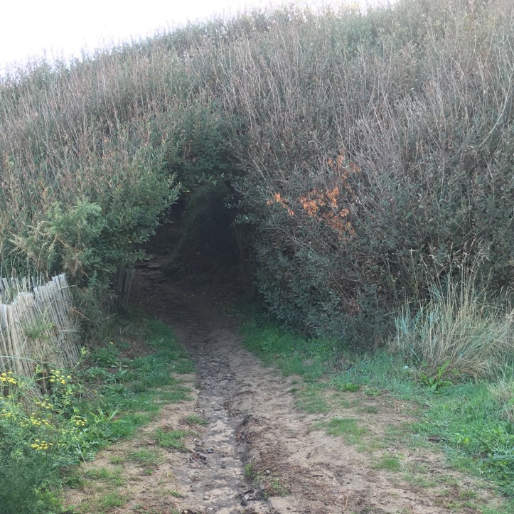 FE14570A-77FD-4653-A8AE-B631FF63D064