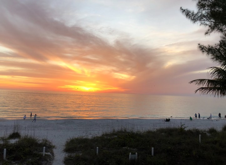 D4F08CB1-3A72-4788-8A0E-9C625409B3E9