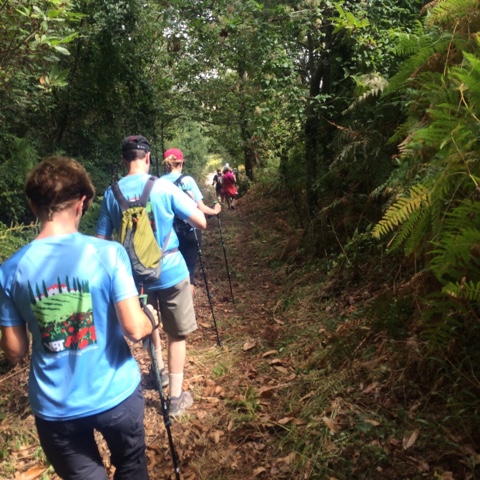 541E5A01-D3DA-4A7C-B173-4AF439423248