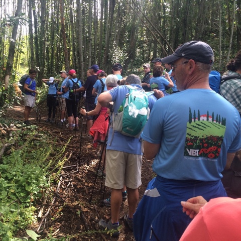 56AD1FD2-10AD-43C6-BC7F-B0E9DA2C54C4