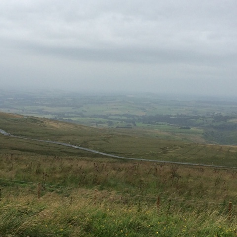 9A4C9FA1-5578-4431-9F94-164455AC45A1