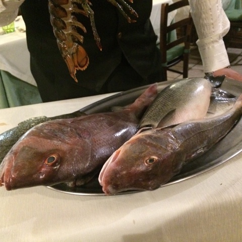 B01DD4CC-7B09-4A70-8BC3-5BB2D6B5A873