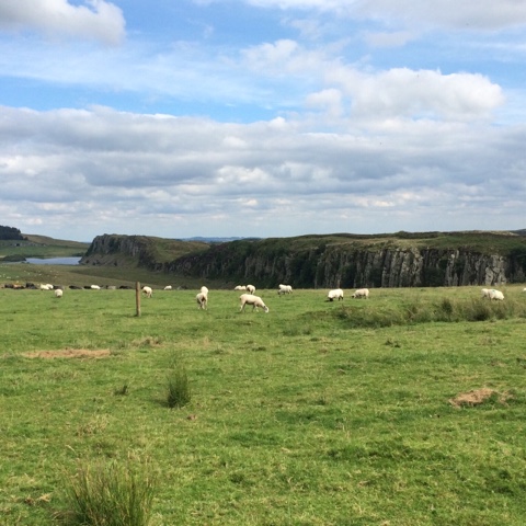 C19B9FF0-68E6-4BEE-9A1D-B2745538C4FF