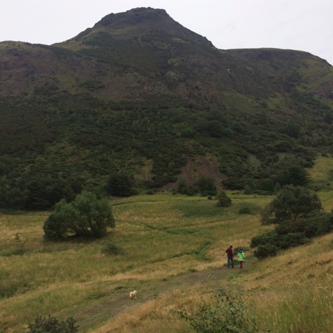 C7DEED6C-BCC0-4F8B-B411-74FB47F0D02B